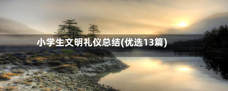 小学生文明礼仪总结(优选13篇)