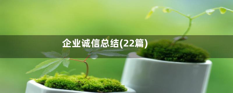 企业诚信总结(22篇)