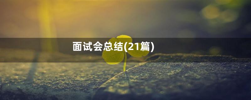 面试会总结(21篇)