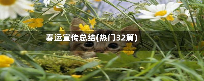 春运宣传总结(热门32篇)
