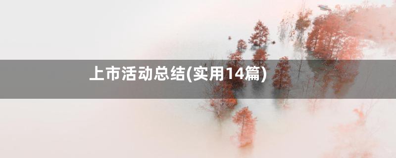 上市活动总结(实用14篇)