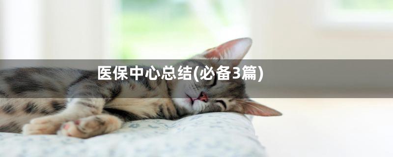 医保中心总结(必备3篇)