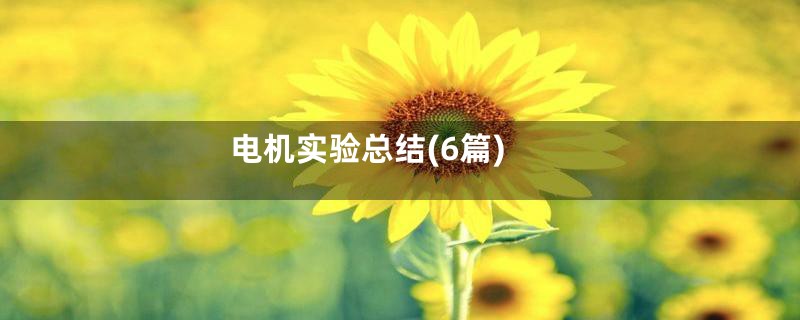 电机实验总结(6篇)