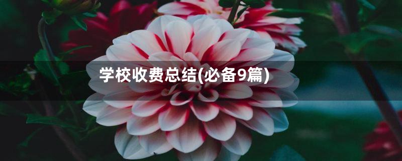 学校收费总结(必备9篇)
