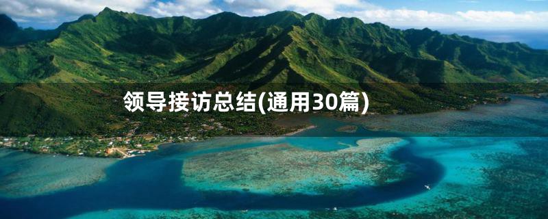 领导接访总结(通用30篇)