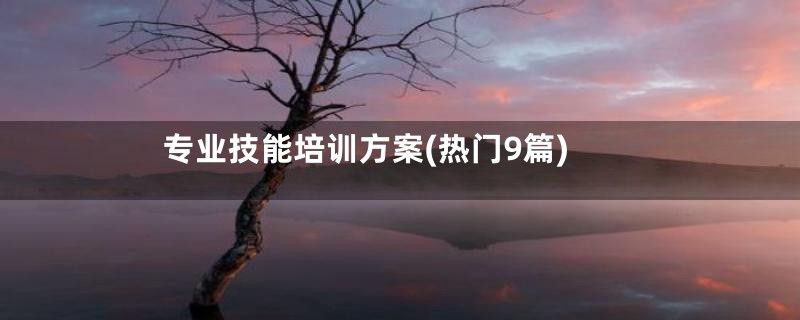 专业技能培训方案(热门9篇)