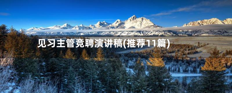 见习主管竞聘演讲稿(推荐11篇)
