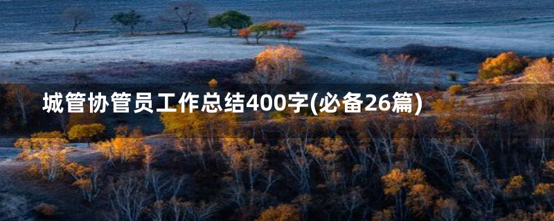 城管协管员工作总结400字(必备26篇)