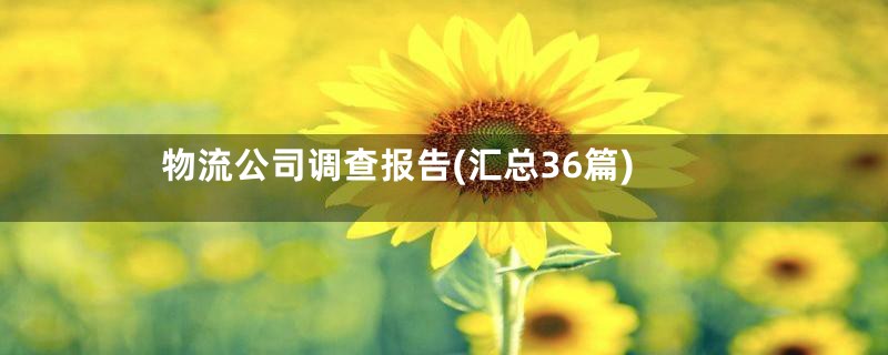 物流公司调查报告(汇总36篇)