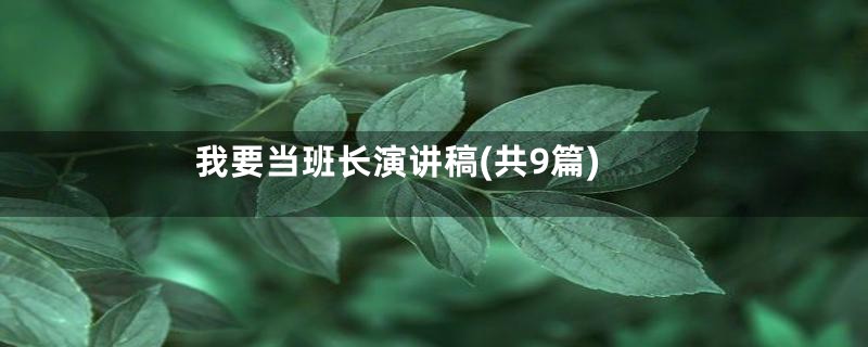我要当班长演讲稿(共9篇)