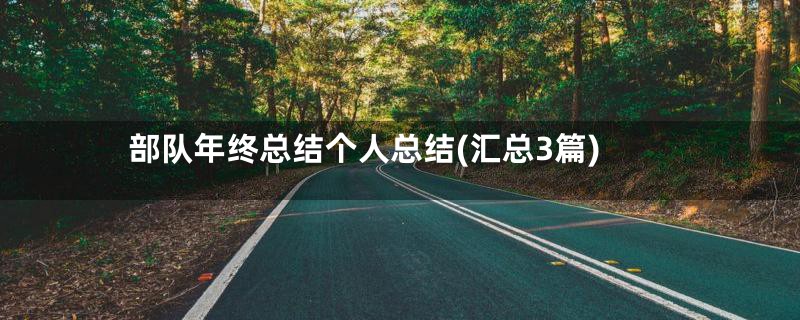 部队年终总结个人总结(汇总3篇)