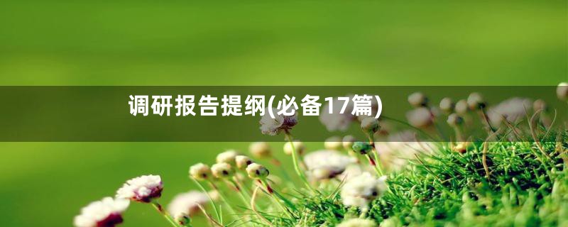 调研报告提纲(必备17篇)