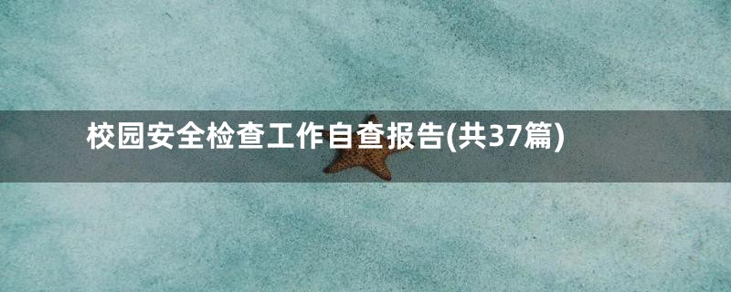 校园安全检查工作自查报告(共37篇)