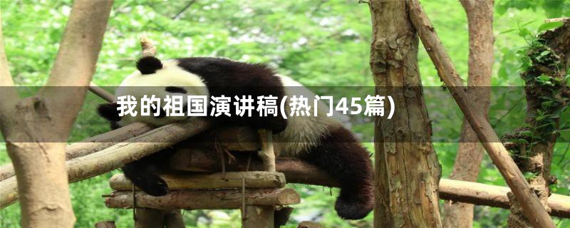 我的祖国演讲稿(热门45篇)