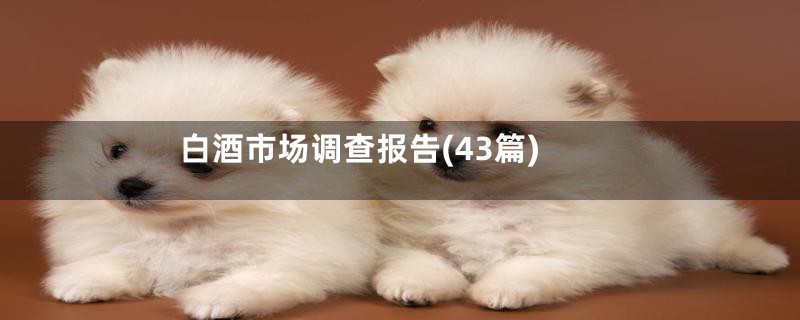 白酒市场调查报告(43篇)