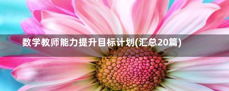 数学教师能力提升目标计划(汇总20篇)