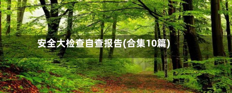 安全大检查自查报告(合集10篇)