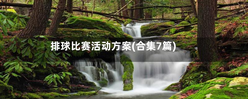 排球比赛活动方案(合集7篇)