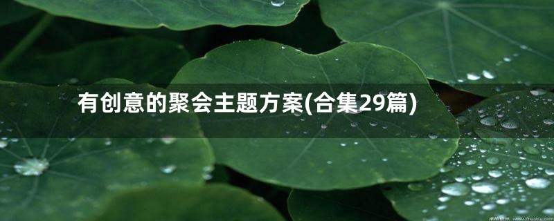 有创意的聚会主题方案(合集29篇)