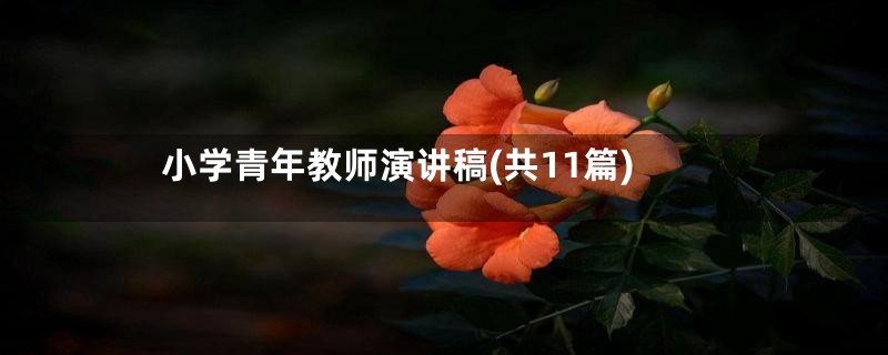 小学青年教师演讲稿(共11篇)