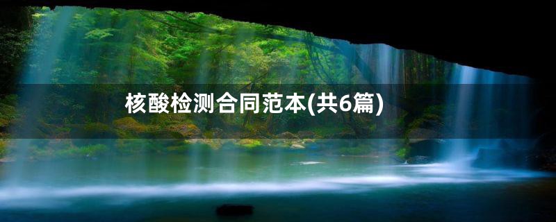 核酸检测合同范本(共6篇)