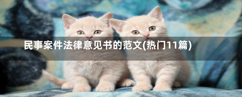 民事案件法律意见书的范文(热门11篇)