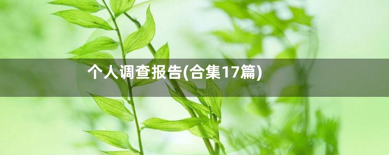 个人调查报告(合集17篇)