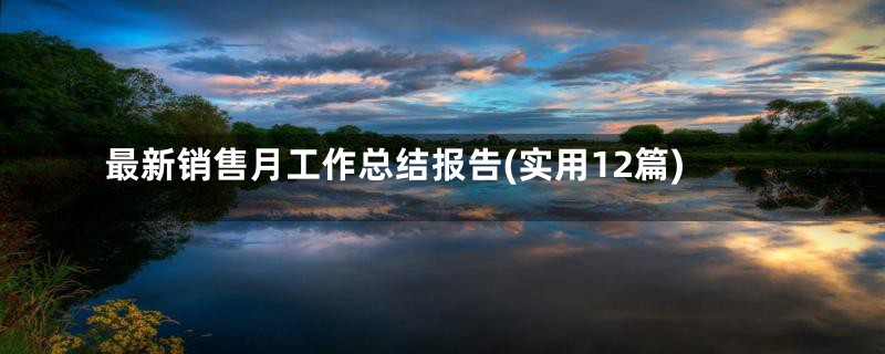 最新销售月工作总结报告(实用12篇)