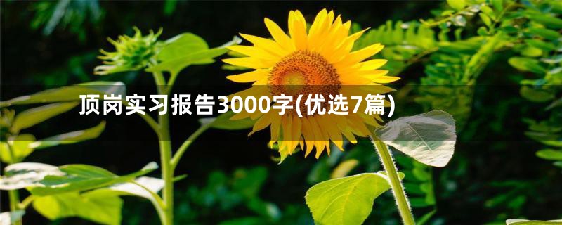 顶岗实习报告3000字(优选7篇)