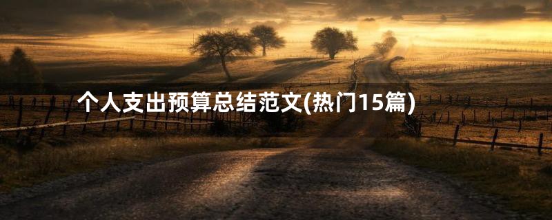 个人支出预算总结范文(热门15篇)