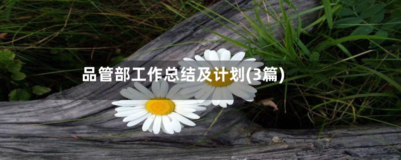 品管部工作总结及计划(3篇)