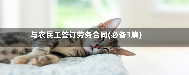 与农民工签订劳务合同(必备3篇)