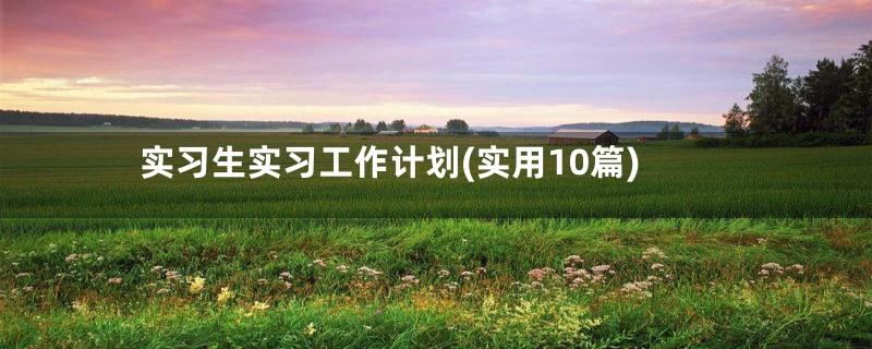 实习生实习工作计划(实用10篇)