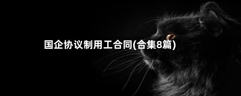 国企协议制用工合同(合集8篇)