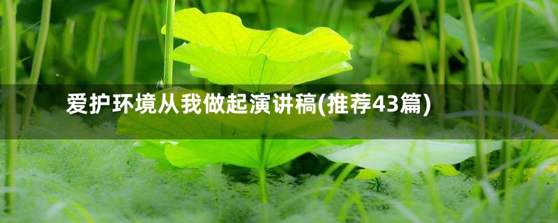 爱护环境从我做起演讲稿(推荐43篇)