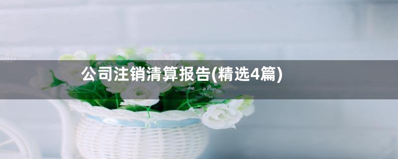 公司注销清算报告(精选4篇)