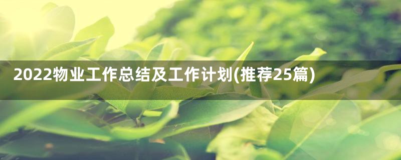 2022物业工作总结及工作计划(推荐25篇)