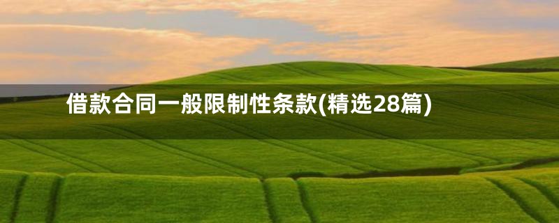 借款合同一般限制性条款(精选28篇)