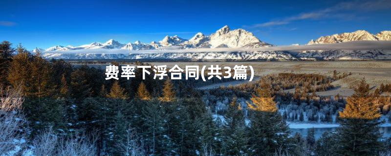 费率下浮合同(共3篇)