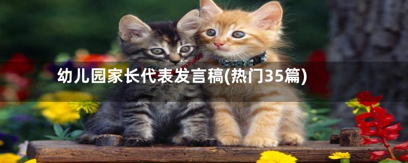 幼儿园家长代表发言稿(热门35篇)