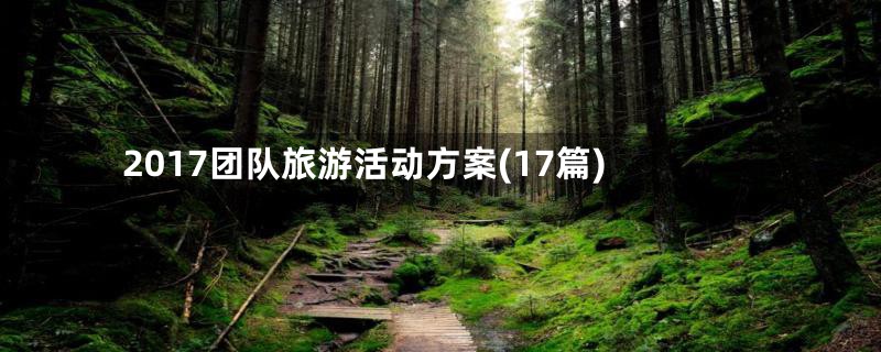 2017团队旅游活动方案(17篇)