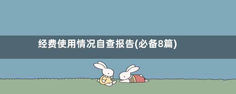经费使用情况自查报告(必备8篇)