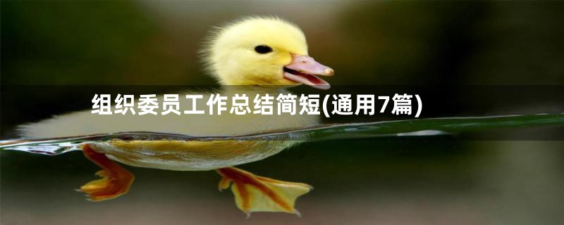 组织委员工作总结简短(通用7篇)