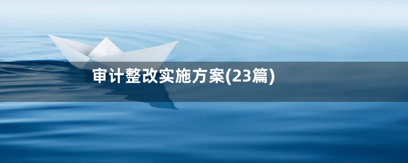 审计整改实施方案(23篇)