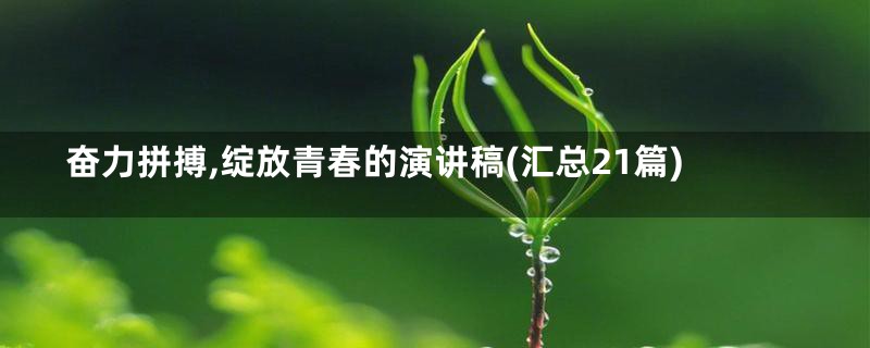 奋力拼搏,绽放青春的演讲稿(汇总21篇)
