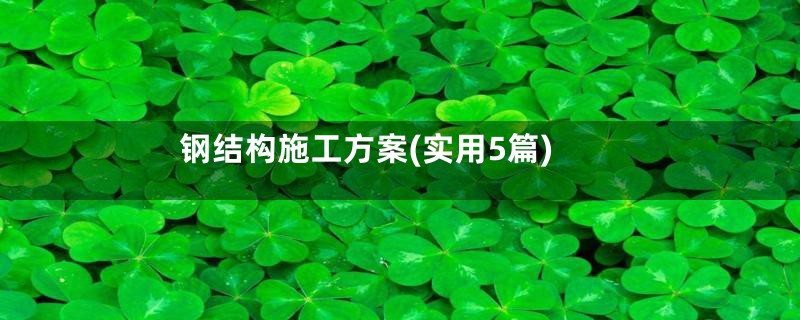 钢结构施工方案(实用5篇)
