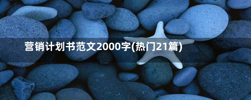 营销计划书范文2000字(热门21篇)