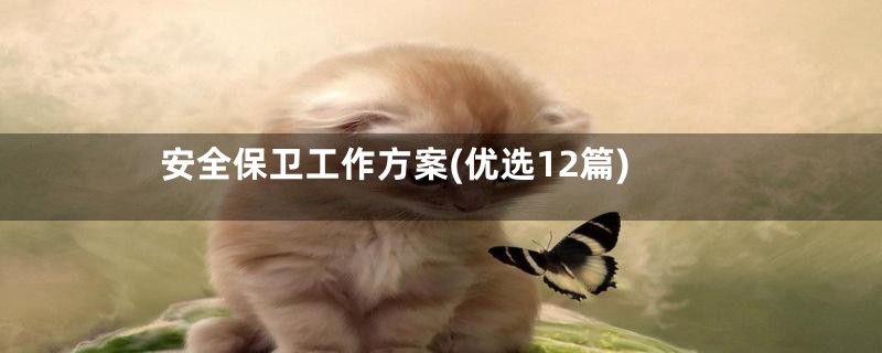安全保卫工作方案(优选12篇)