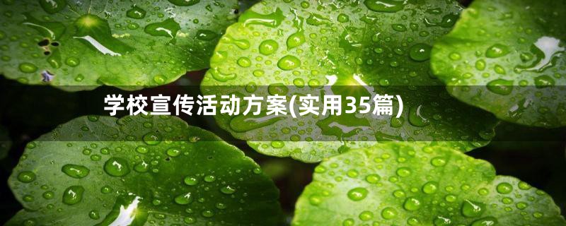 学校宣传活动方案(实用35篇)