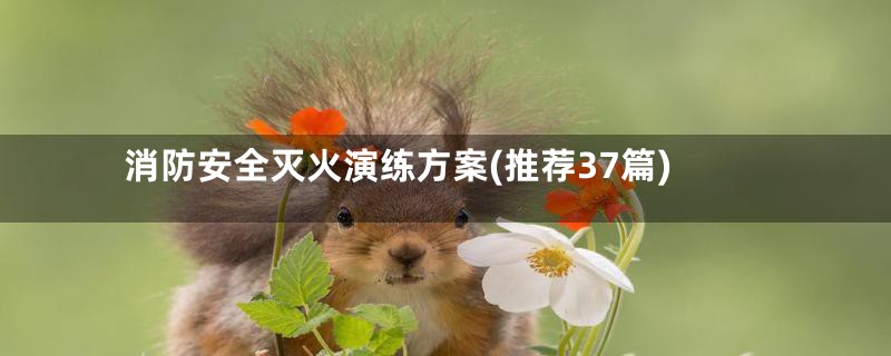 消防安全灭火演练方案(推荐37篇)
